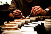 De smaken van koffie proeven en beoordelen. Workshop koffieproeverij