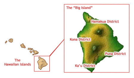 Koffie uit Hawaii: de beste koffie komt uit het Kona distict